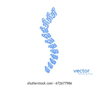 Abstract vector illustration of spinal column on white background.