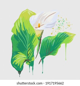 Abstract vector illustration with splashes of calla lily isolated in a white background. Hand drawn style, image for frame, background, brochure, florist