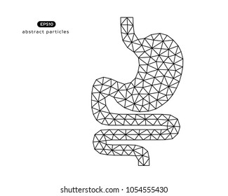 Abstract vector illustration of stomach on white background.