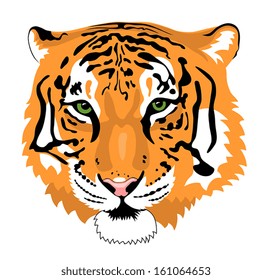 Abstract vector illustration of tiger head