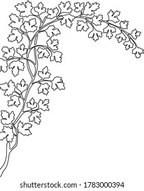 Abstract vector illustration. Tree branch with leaves. Black silhouettes. Isolated