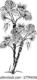 Abstrakte Vektorgrafik des Baumes. Chinesischer oder japanischer Stil für Schablone einzeln, schwarz-weißer Hintergrund