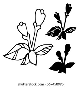 Abstract vector illustration with wild plants and herbs. 
