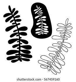 Abstract vector illustration with wild plants and herbs. 