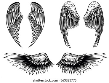 Abstract vector illustration wings set