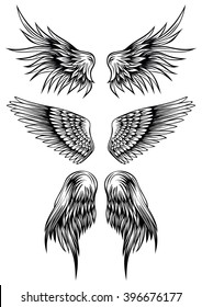 Abstract vector illustration wings set