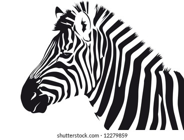 Abstract vector illustration of a zebra