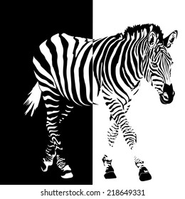 Abstract vector illustration of a zebra