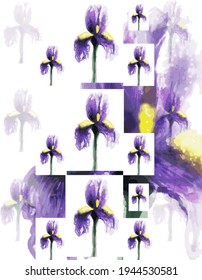 abstract vector image of irises.photo collection