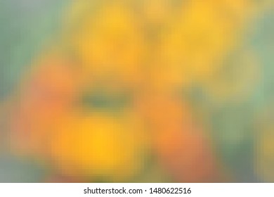
Abstract vector image of yellow and orange flowers.