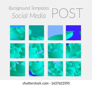 Abstract vector Instagram background set with bright gradient wavy organic overlapping shapes grunge textured. Natural wavy lines and white snow texture. Holiday sale advertisement  marketing.