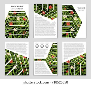 Abstract vector layout background set. For art template design, list, front page, mockup brochure theme style, banner, idea, cover, booklet, print, flyer, book, blank, card, ad, sign, sheet, a4