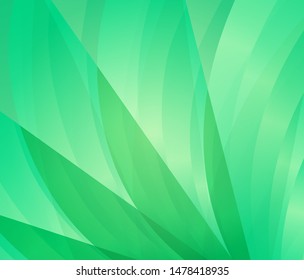 "Abstract Vector Leaf Background.Abstract green.Natural background.Graphic design for summer.Vector illustration."
