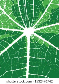 abstract vector leaf veins seamless texture 