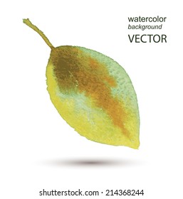 Abstract vector leaf watercolor textured hand painted background