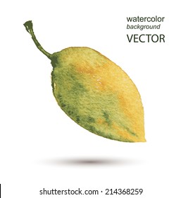 Abstract vector leaf watercolor textured hand painted background