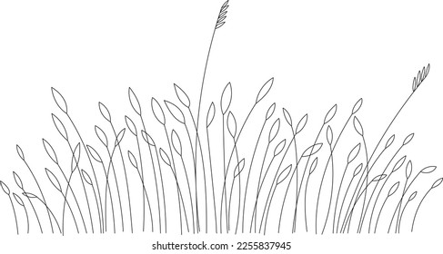 Abstract vector linear grass. A small bush of tall grass with seeds, large leaves, bends from the wind.