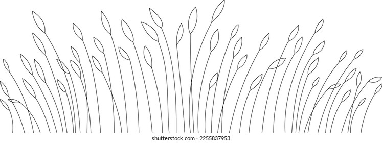 Abstract vector linear grass. A small bush of tall grass with seeds, large leaves, bends from the wind.