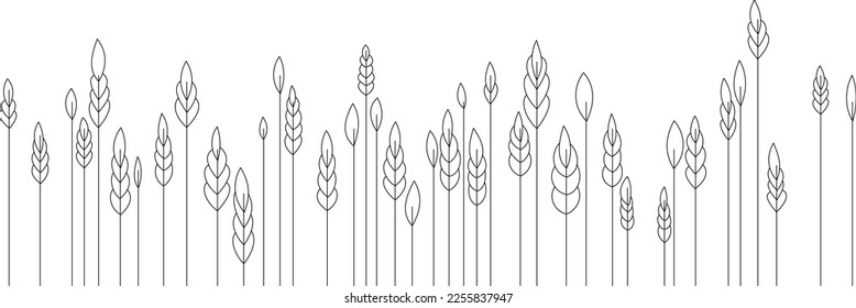 Abstract vector linear wheat. Tall grass stalks with large leaves, seeds. A simple flat field.