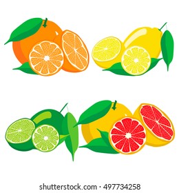 Abstract vector logo for citrus fruit orange, yellow lemon, green lime, red grapefruit, pomelo, half cut slice. Citrus fruits lemons, ripe limes,sweet grapefruits,fresh pomelos. Eat vitamin C citruses