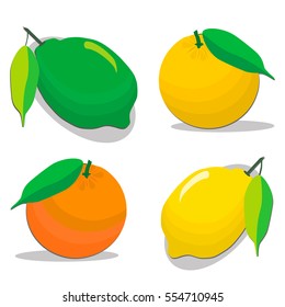Abstract vector logo for citrus fruit orange, yellow lemon, green lime, red grapefruit, pomelo, half cut slice. Citrus fruits lemons, ripe limes,sweet grapefruits,fresh pomelos. Eat vitamin C citruses