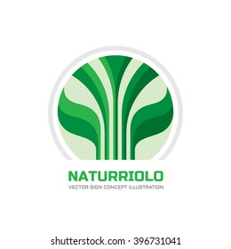 Abstract vector logo concept illustration. Green sprout sign. Plant with leaves. Nature symbol. 
