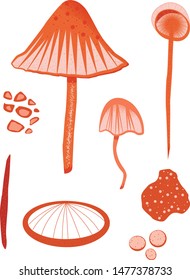 Abstract vector mushrooms opt.1 calm colors, outumn prints.