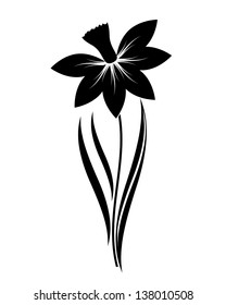 abstract vector narcissus flower silhouette