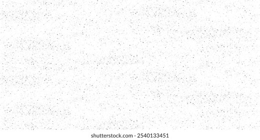 Abstract vector noise. Small particles of debris and dust. Black and white grunge. Distress overlay texture. Abstract surface dust and rough dirty wall background concept.