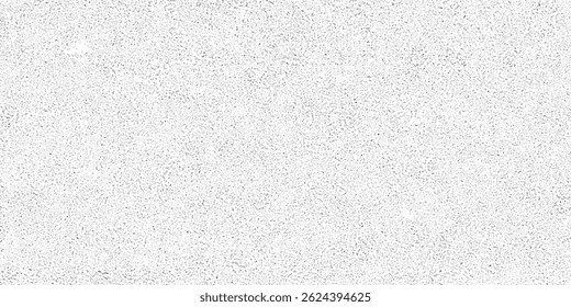 Ruido Abstractas del Vector. Pequeñas partículas de escombros y polvo. Angustiado fondo desigual. Superposición de textura grunge con granos finos aislados sobre fondo blanco.