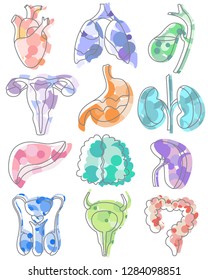 Abstract vector organs. Parts of human body: heart, lungs, stomach, liver, brain, female reproductive system, bladder, gallbladder, intestines, male reproductive system, spleen, kidneys, pancreas.