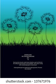 abstract vector page layout design with dandelions in silhouettes, long grass and place for your text isolated on black background