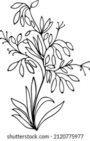 Abstract vector pattern, illustration for coloring. Hand drawn leaves and flowers on a transparent background. For fabric design, postcards, paintings, decorations