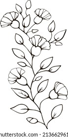 Abstract vector pattern, illustration for coloring. Hand drawn leaves and flowers on a transparent background. For fabric design, postcards, paintings,