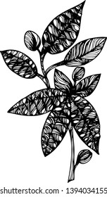 Abstract vector pattern,  illustration. Hand drawn leaves and flowers on a transparent background.
For fabric design, postcards, paintings, decorations

