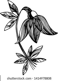  Abstract vector pattern,  illustration. Hand drawn leaves and flowers 
For fabric design, postcards, paintings, decorations
