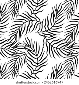 Abstract vector Plam leaf sketch by hand drawing. Black and white Plam leaf pattern leaf on white background.