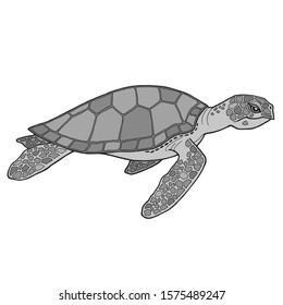 Abstract vector realistic illustration of turtle. Sea tortoise swimming. Image in various gray shades. Side view. Mosaic shell with detailed drawing on fins. Isolated on a white background. 