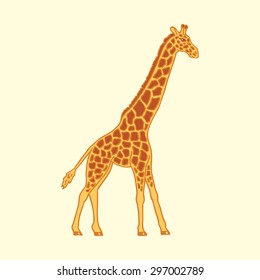 abstract vector realistic portrayal of an adult giraffe with a gradient in motion on a white background