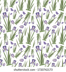 Abstract vector seamless pattern of bright purple iris flowers and wide green leaves. On a transparent background.