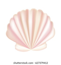 Abstract vector shell. Made with gradient mesh.