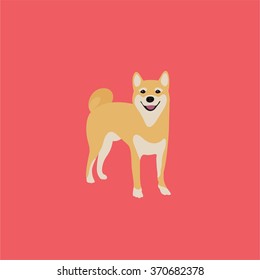 Abstract vector shiba inu puppy on a pink background