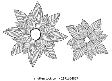 Abstract vector sketch doodle flower hand draw.