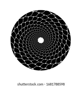 Abstract vector spiral shape on a white background. Isolated spiral, template for design, hypnotic effect. Eps 10.