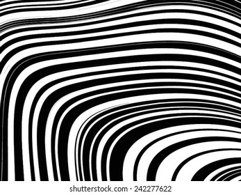 Abstract Vector Striped Background. Black and White Stripes . Wave Stripes . Vertical Curved Lines .