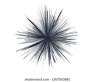 abstract vector sunburst
