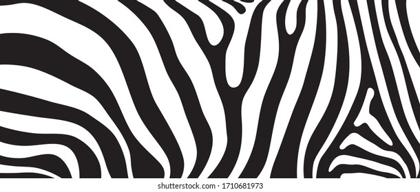 Abstract vector texture background design inspired by African safari animal pattern of zebra striped skin print