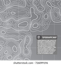Abstract vector topographic map color background with space for your copy. Business presentation concept. Vector pattern illustration. Template of topography