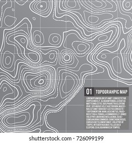 Abstract vector topographic map color background with space for your copy. Business presentation concept. Vector pattern illustration. Template of topography