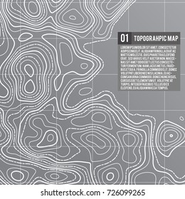 Abstract vector topographic map color background with space for your copy. Business presentation concept. Vector pattern illustration. Template of topography